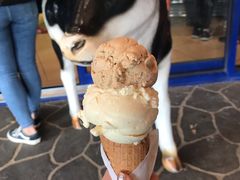 -Dooley's Premium Ice Cream