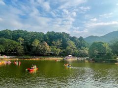 -广州市帽峰山景区