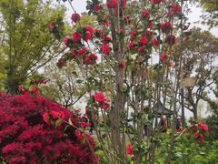 -东钱湖旅游度假区