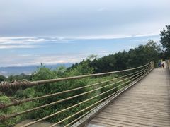 -铁山坪森林公园