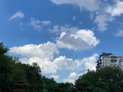 -哈尔滨极乐寺