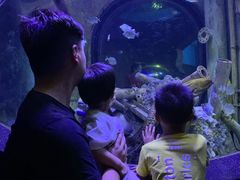 -成都浩海立方海洋公园