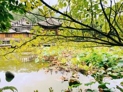 -灵秀温泉