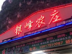 门面-银峰农庄·特色烧鸡·鲜无花果浸鸡