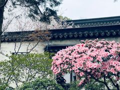 -惠山古镇·寄畅园