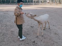 -北京麋鹿生态实验中心