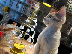 -后院儿·精酿·塔罗Happy Bar