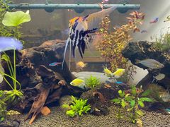 -茶庐(百花洲路店)