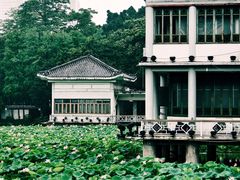-荔湾湖公园