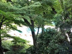-新高轮格兰王子大酒店