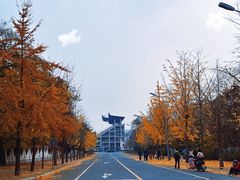 -旅顺博物馆