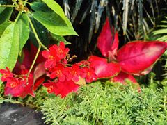 -宁波儿童公园(鄞州区)