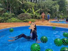 -武汉玛雅海滩水公园