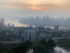 -南山植物园
