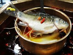 -蜀九香火锅(九眼桥店)