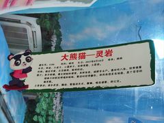 -栾川竹海野生动物园
