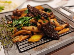 -若蘭慈·无国界素食料理(欢乐海岸店)