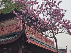 -堤角公园