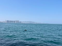 -悦海公园