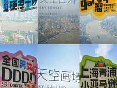 -上海中心大厦