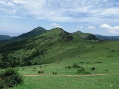 -大姆山草场