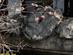 -常熟方塔园