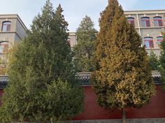 -历代帝王庙博物馆