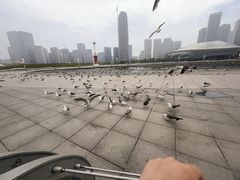 -东港音乐喷泉广场