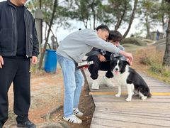 -大罗山风景区