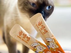 -藏猫猫咖啡主题馆(中央大道店)