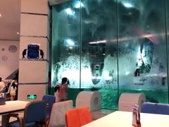 大堂-帝企鹅自助餐厅•儿童岛•真企鹅(长隆企鹅酒店)