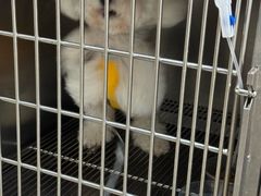 -狗舍宠物医院(四季商业广场店)