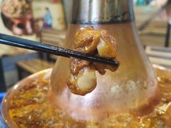 -友情岁月·火锅鸡