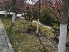 -江南大学(蠡湖校区)