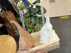 -野人先生Gelato(上海长宁龙之梦店)