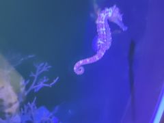 -邯郸海洋世界