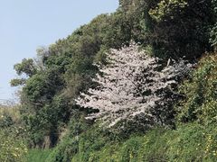 -宝界山林公园