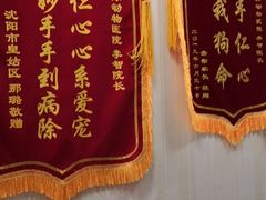 -宠爱国际动物医院· 猫科· 外科·中兽医(长白店)