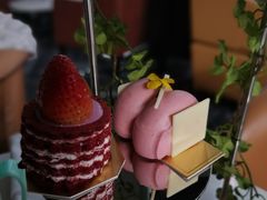 -深圳温德姆至尊酒店·大堂吧·户外花园