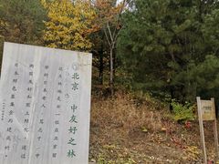 -北京鹫峰国家森林公园