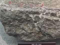 -甘肃地质博物馆