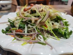 -东鸽皇(奥园·中环广场店)