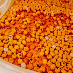 -乐高授权专卖店(华采天地店)