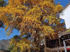 -南岳衡山风景名胜区-南岳大庙