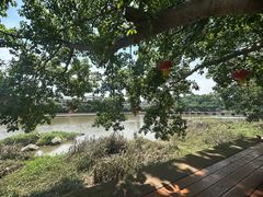 -鞠婆婆•绵绵冰•凉糕•手工冰粉(苏稽一店)