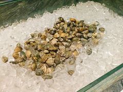 -阳光壹佰美爵酒店-绿洲西餐厅