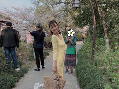 -西湖外事游船(花港观鱼码头)