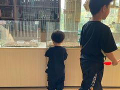 -宁波九龙湖开元度假村