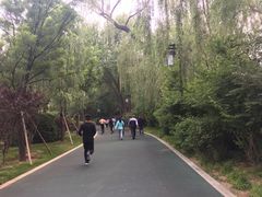 -迎泽公园