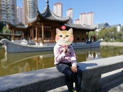 -南普公园